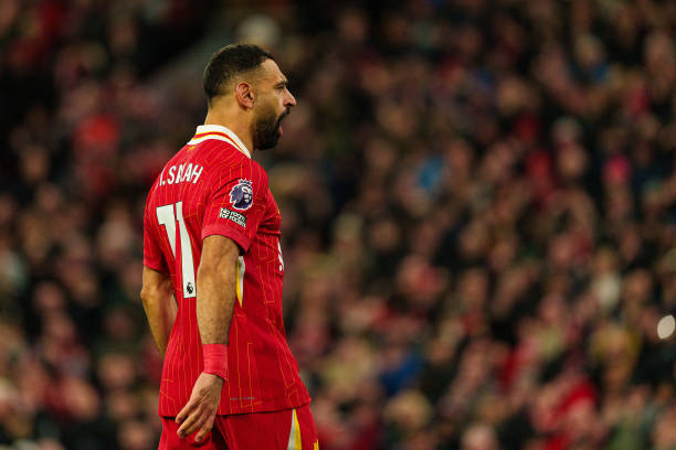 不仅提供了 不仅提供了